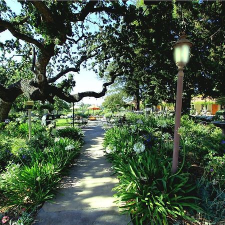 Meadowlark Inn ソルバング エクステリア 写真